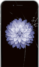 стекло iphone 6, замена стекла айфона 6