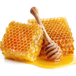 Сотовый мед алмат мед из сот